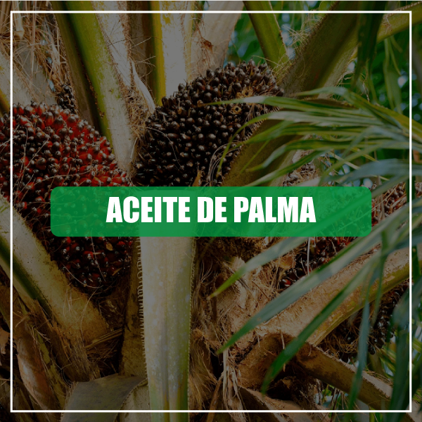 ACEITE-DE-PALMA-HOME